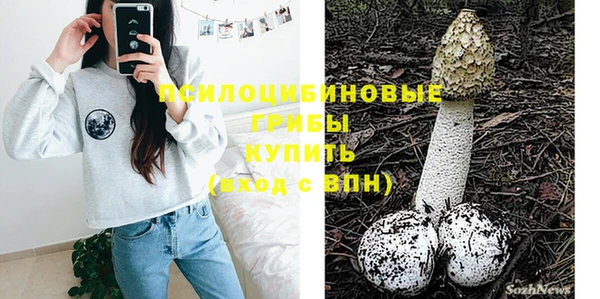 прущие крисы Алзамай