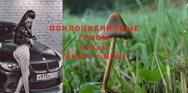 прущие крисы Алзамай