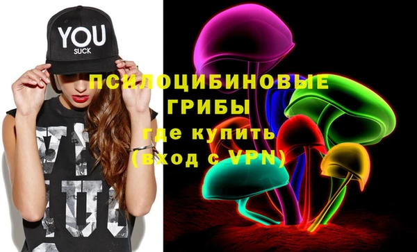 прущие крисы Алзамай