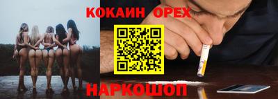 бошки Дубна