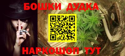 бошки Дубна