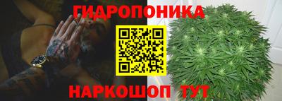 шишки Донецк