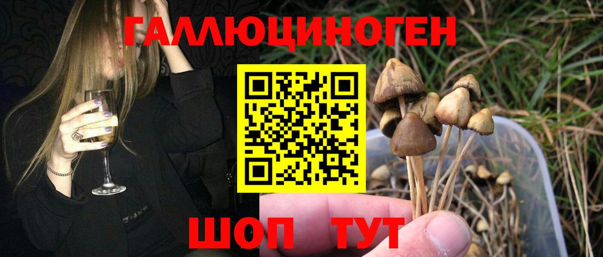 Галлюциногенные грибы мицелий Курчалой